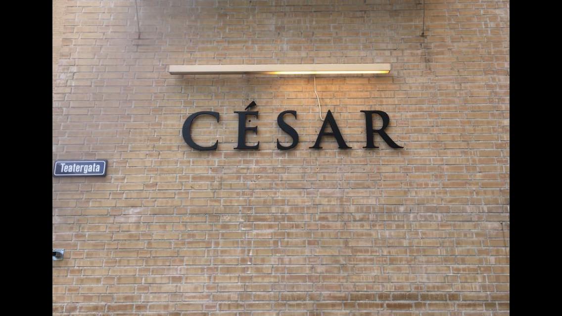 Cesar photo 2