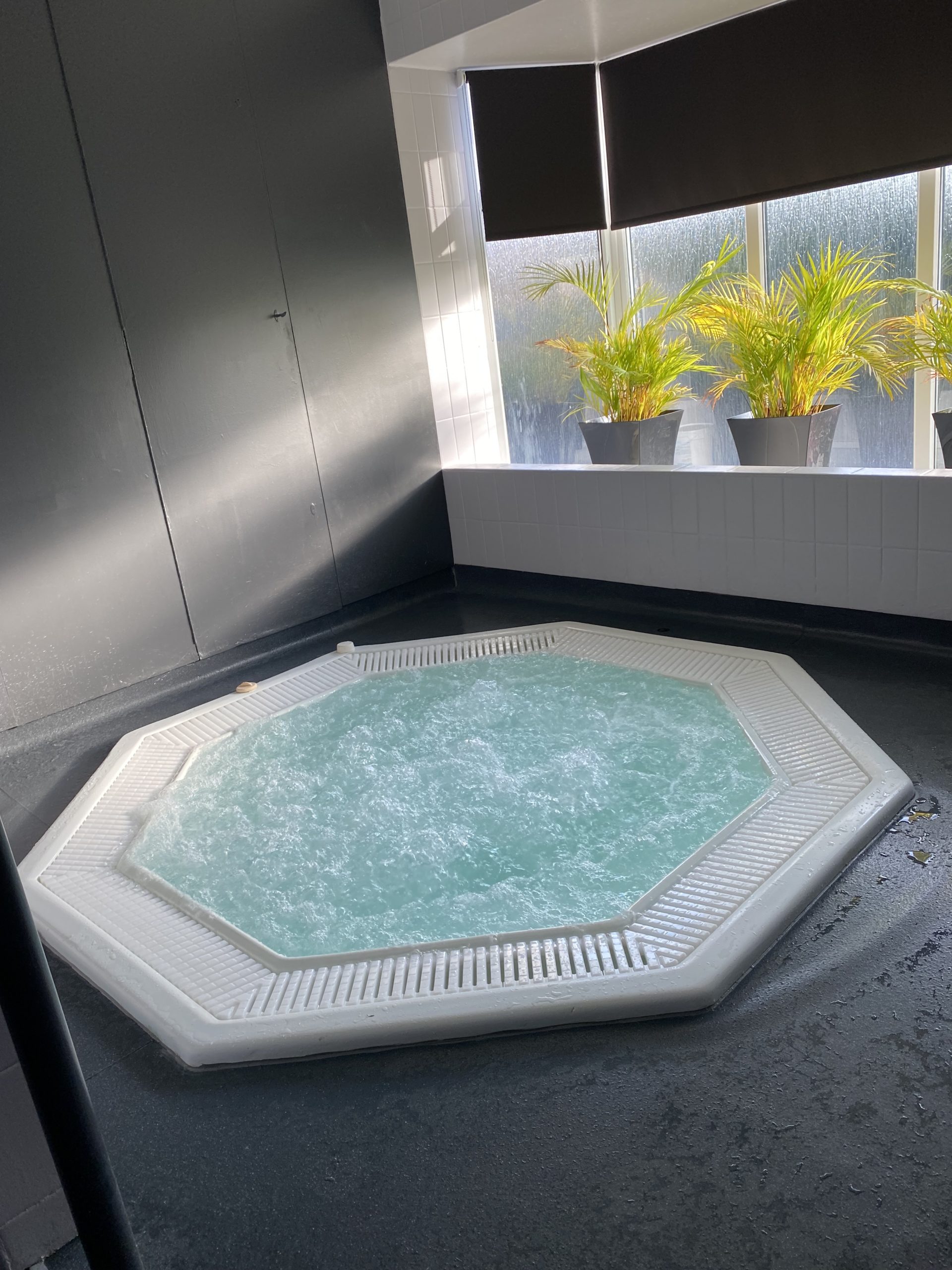 Dolphin Sauna photo 3