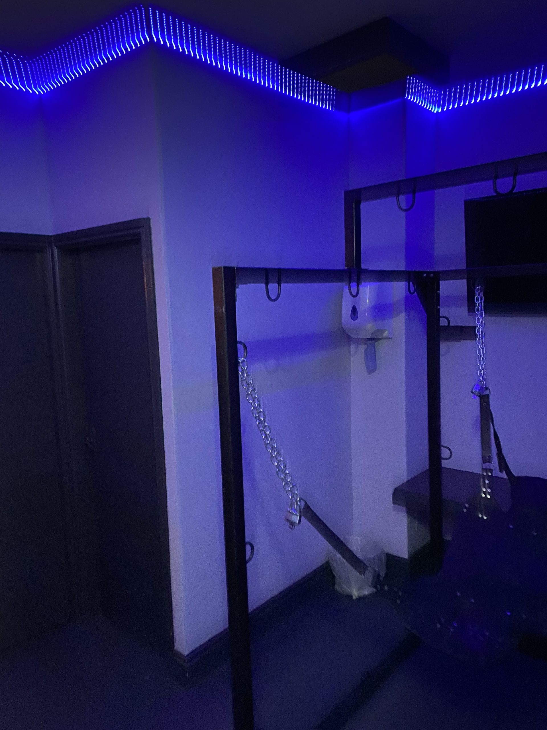 Dolphin Sauna photo 4