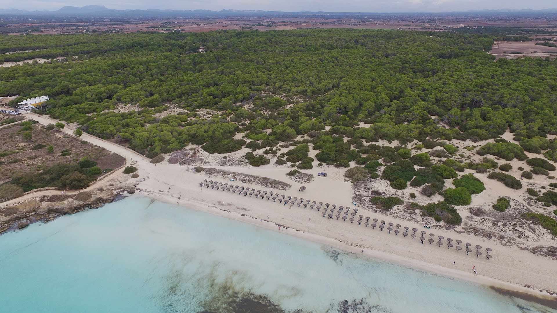 Es Trenc Gay Beach — Beaches in Palma de Mallorca