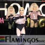 Flamingos