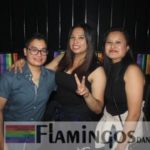 Flamingos photo 4