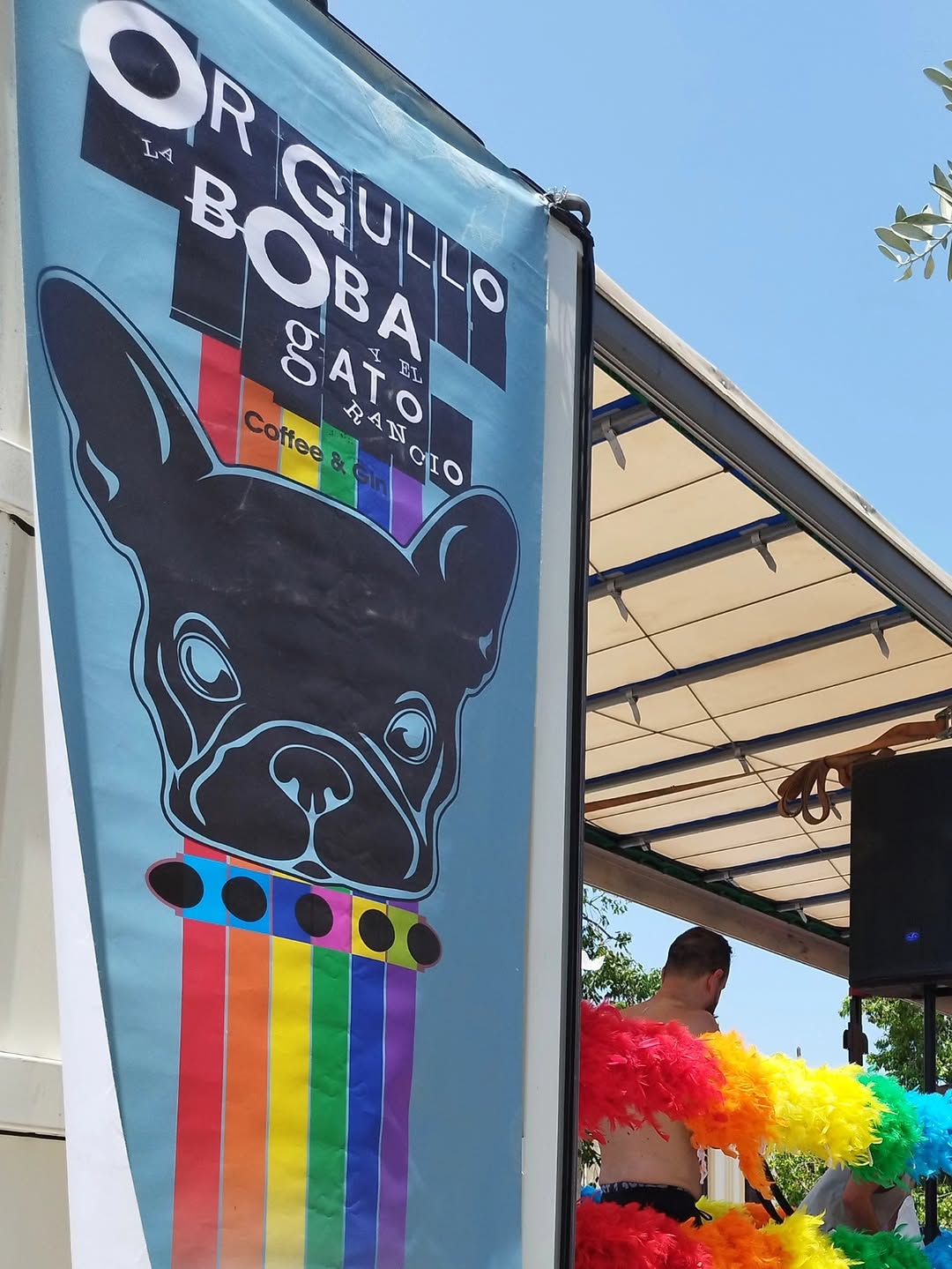 La Boba y el Gato Rancio — Bars in Valencia
