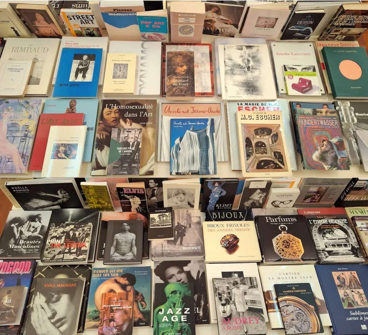 Librairie Vigna photo 3