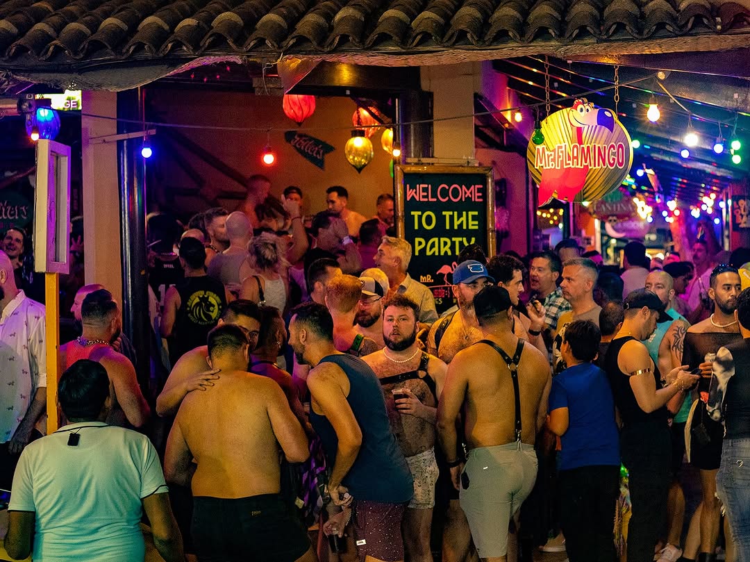 Mr. Flamingo — Bars in Puerto Vallarta