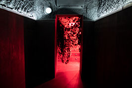 Organic Club photo 3