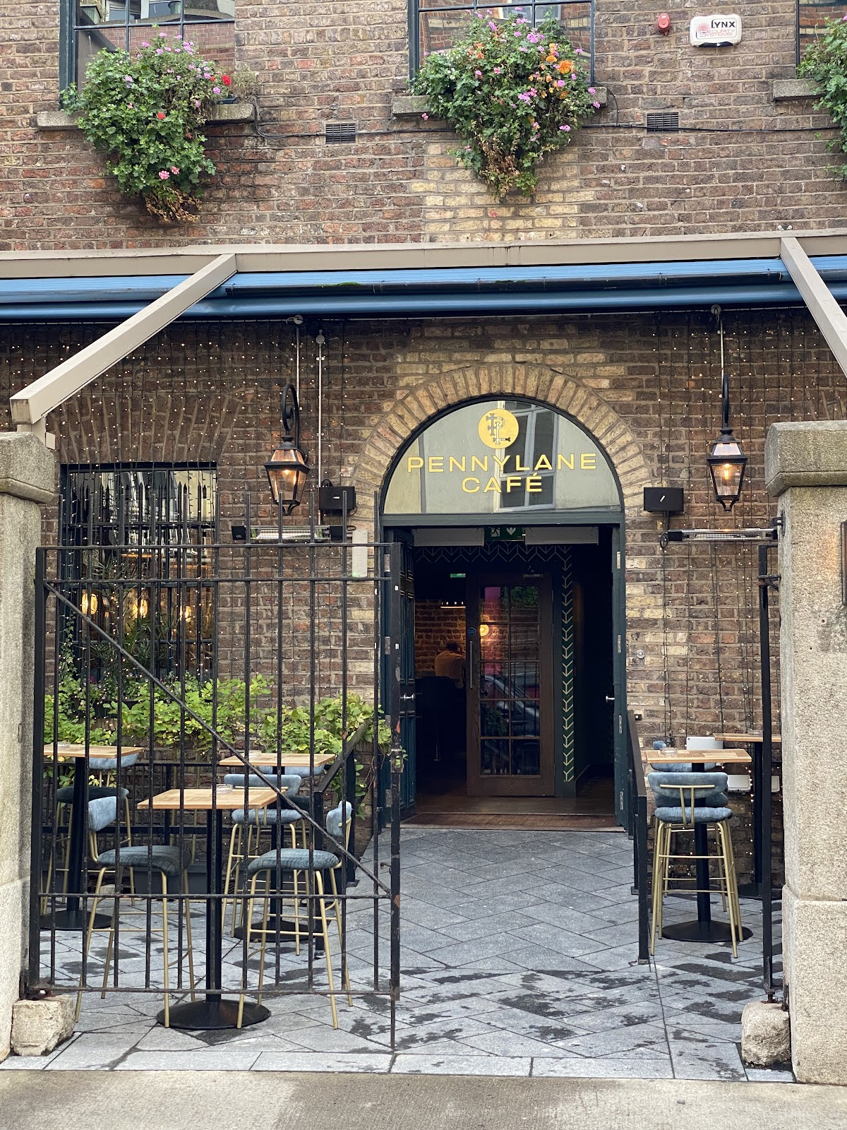 Pennylane — Bars in Dublin