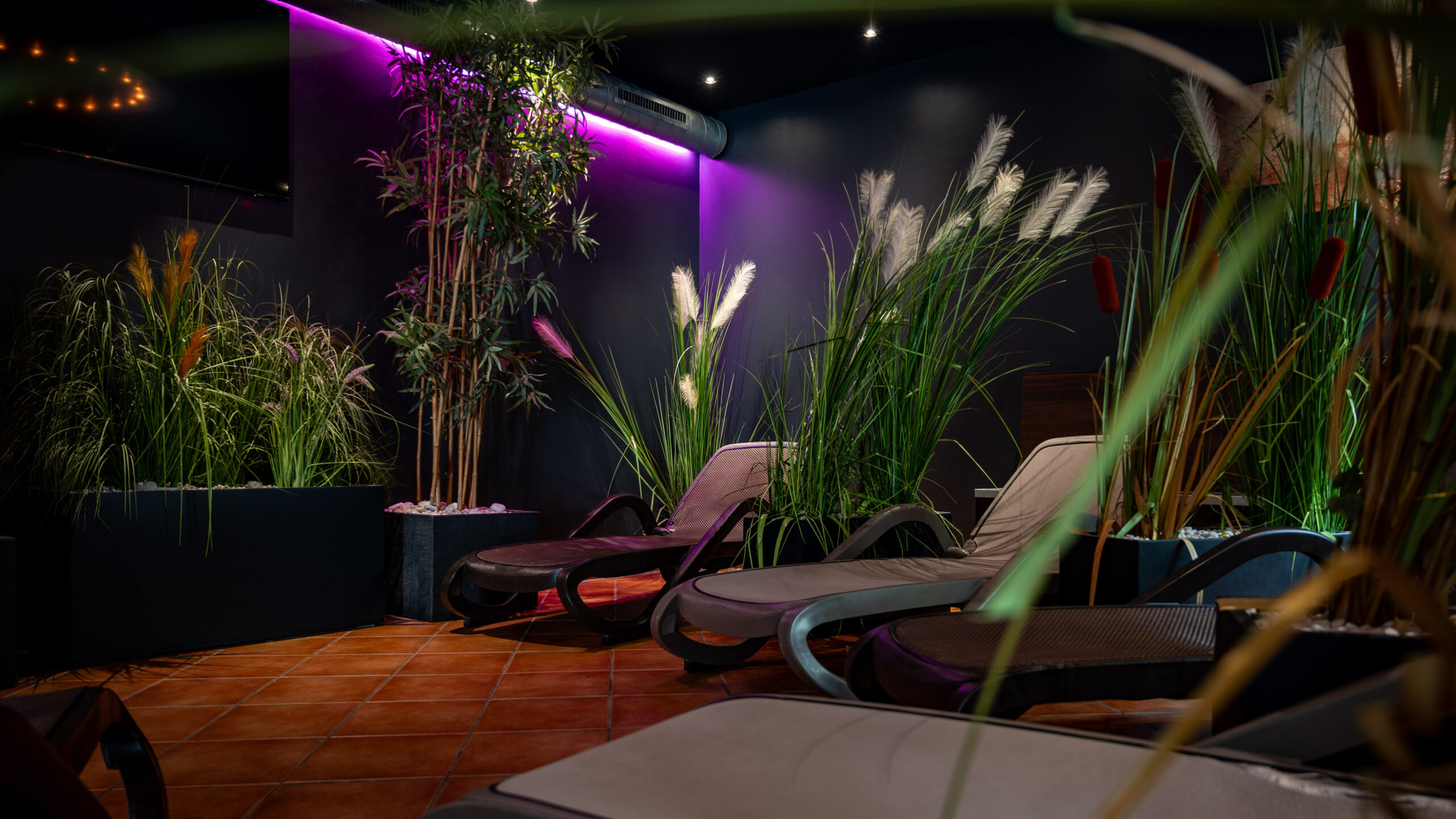 Phoenix Sauna Cologne — Saunas in Cologne