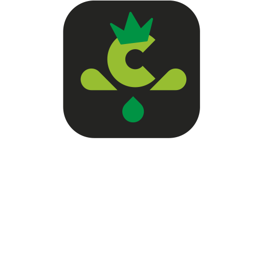 Sauna Condal photo 1