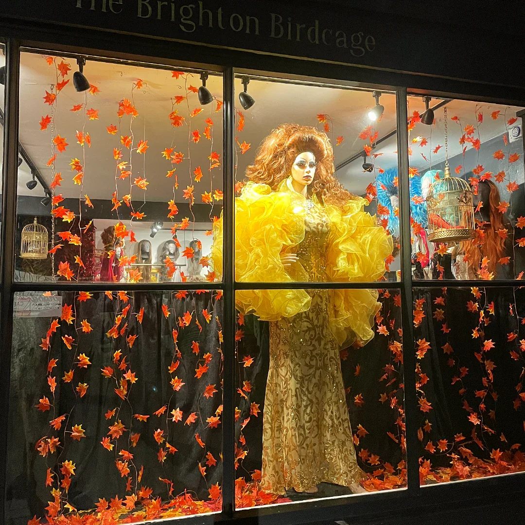 The Brighton Birdcage photo 2