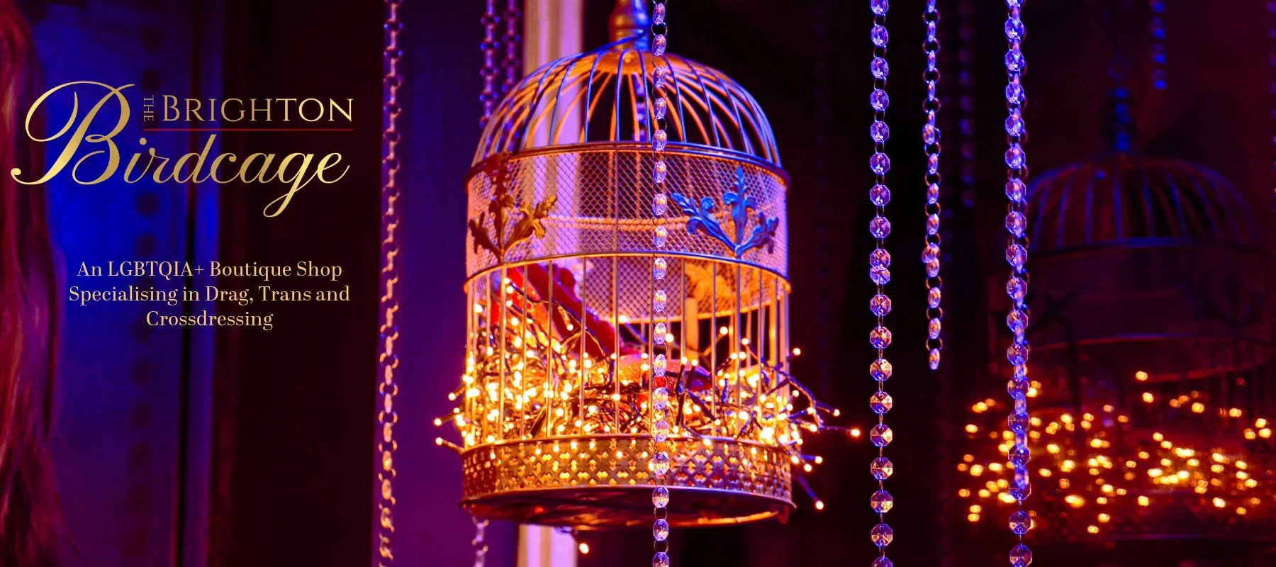 The Brighton Birdcage — Shop in Brighton
