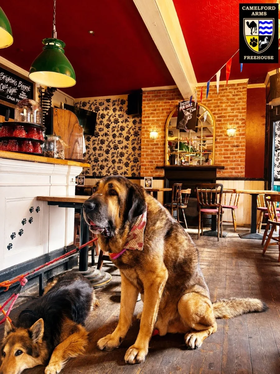 The Camelford Arms photo 4