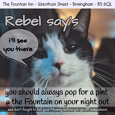 The Fountain Inn photo 3