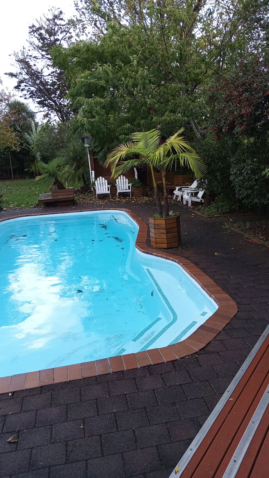 Wingate Club in Auckland